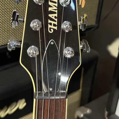 Hamer Newport w/ Bigsby in Vintage or Jazz Burst image 15