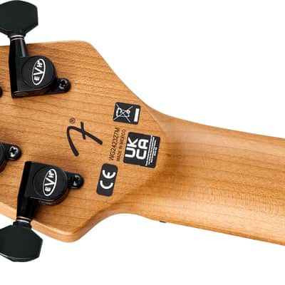 EVH Wolfgang Special TOM Baked Maple FB Gloss Black image 6