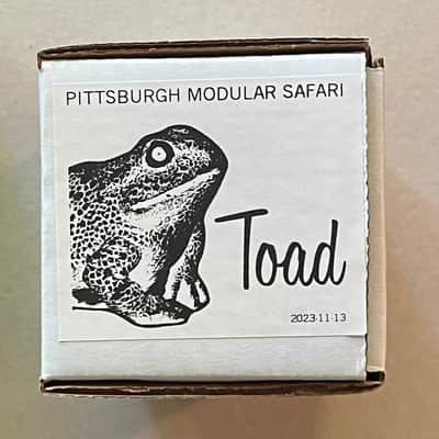 Pittsburgh Modular The Toad phaser Eurorack module image 3