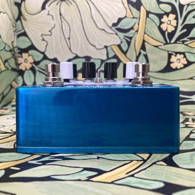 EarthQuaker Devices Avalanche Run V2-Standard Bild 3