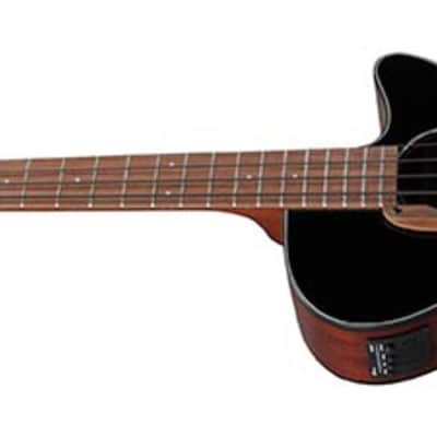 Ibanez AEGB24E 4-String Acoustic-Electric Bass Guitar, Sapele Top, Black image 2