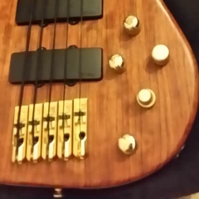 Peavey Cirrus Custom HP signature 2006 Bubinga/ Walnut image 4