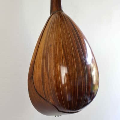 Giuseppe Indelicato Contarino Neapolitan Mandolin - c. 1910 - Made in Catania, Italy image 6