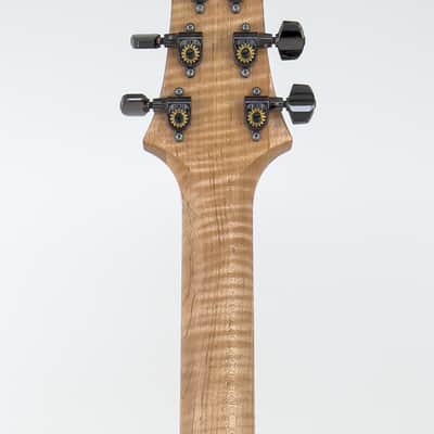 PRS Custom 24 LTD European Edition (Wood Library/10-Top/Custom Colour) 2021 Charcoal Fade/Black Back image 6