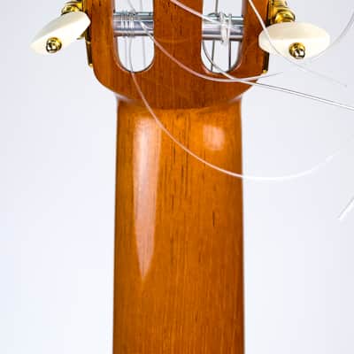 Jerónimo Pérez 2023 - Flamenco Guitar image 10