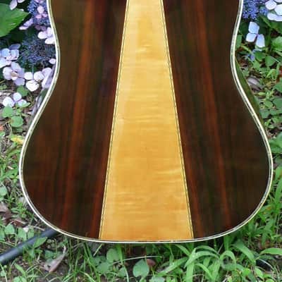 Hillbilly by Suzuki W-40 Brazilian Rosewood 1970's Natural BARGAIN image 8