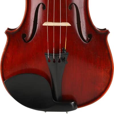 Eastman VL401 Ivan Dunov Intermediate Violin - 4/4 Size image 1