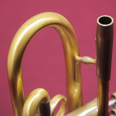 LOTUS Lotus LEAD/SOLO Brushed Lacquer (New) B♭ Trumpet image 13
