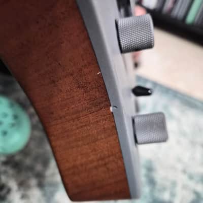 Strandberg Guitars Boden DR 2021 - Titanium image 5