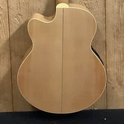 Alvarez 12 String image 7