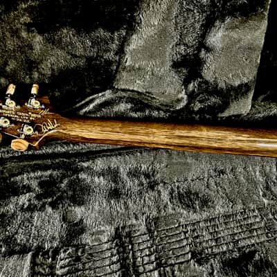 PRS Special 22 Semi-Hollow Private Stock image 19