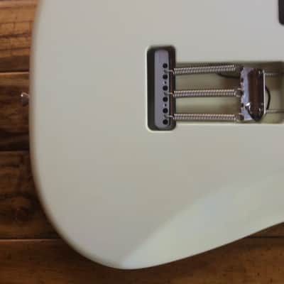 Fender Limited Edition Channel Bound American Professional Stratocaster/Warmoth Swamp Ash Body image 5
