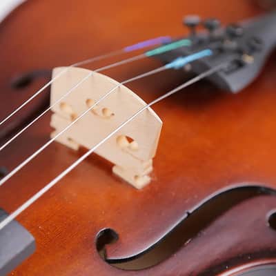 Strumenti a Corde 2500 Viola 13" - Solid Wood, Hand-Carved Spruce and Maple with High-Grade Case and Bow image 4