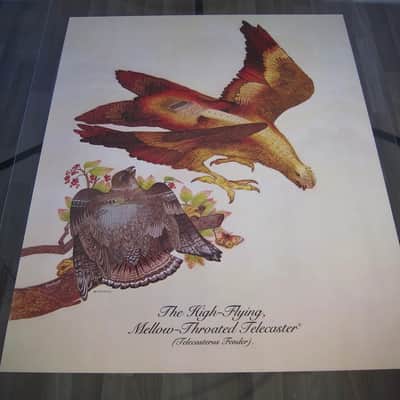 Fender Telecaster & Twin Reverb Authentic Vintage Poster "The High-Flying Mellow-Throated Telecaster" Artist Endicott Circa-1976-Multi Color image 1