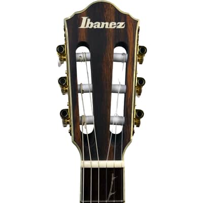 Ibanez TOD10N Tim Henson Signature Nylon Acoustic-Electric Guitar Black (Used) image 8