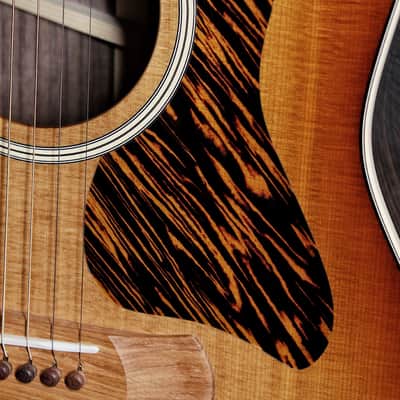 Taylor Gold Label 717e SB Rosewood / Torrified Spruce Sunburst Guitar image 12