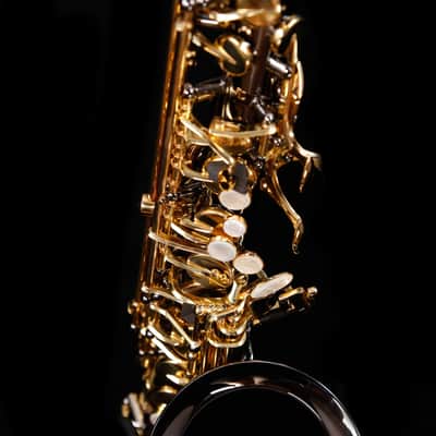 Selmer ''La Voix II'' SAS411B Alto Saxophone, Black Lacquer - NEW MODEL! image 4