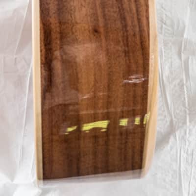 Traveler Redlands Acoustic/Electric Koa Gloss with Gig Bag image 7