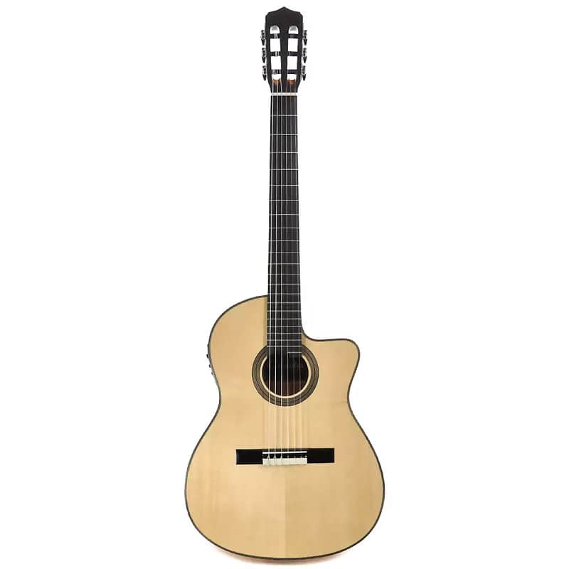Cordoba Fusion 14 Cutaway Nylon String Acoustic-Electric Guitar image 1