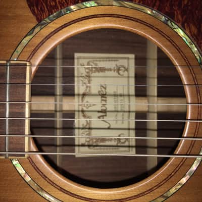 Alvarez Professional Series PD91S 2008 Natural image 7