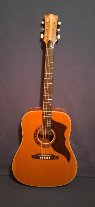 1960's Eko Ranger VI Acoustic Guitar image 1