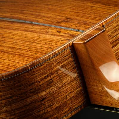 Froggy Bottom Model F14 Deluxe - Adirondack Spruce & Guatemalan Rosewood image 14