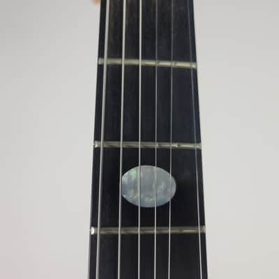 2009 Alembic Darling - Zebrawood With OHSC image 9