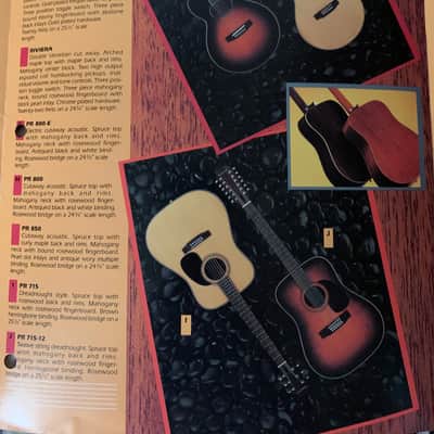 Epiphone Brochure Catalog  1982 Sheraton Casino image 4