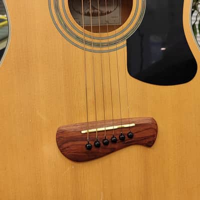 Olympia by Tacoma OD-2 Dreadnought Acoustic Guitar 2000's - Natural image 3