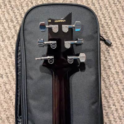 PRS S2 Standard 24 2022 - Dark burst image 6