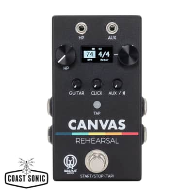 Immagine Walrus Audio Canvas Rehearsal - 2
