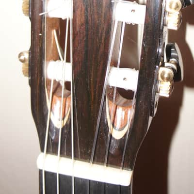 Darren Hippner Birdseye Classical Guitar Torres 2021 B Stock image 11