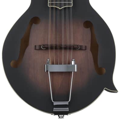 Gold Tone F-12 12-string Acoustic-electric Mando-Guitar - Tobacco Sunburst image 1