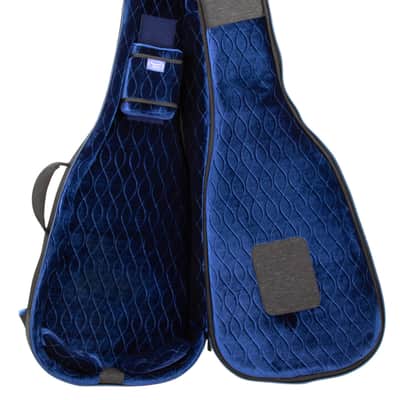 Reunion Blues Expedition Semi-Hollow Electric Guitar Case image 4
