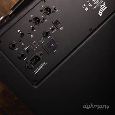 Aguilar Tonehammer 210 image 4