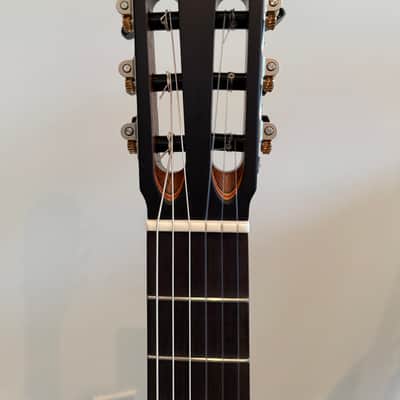 Giussani Messala 2025 - Western Red Cedar Indian Rosewood Ebony image 6