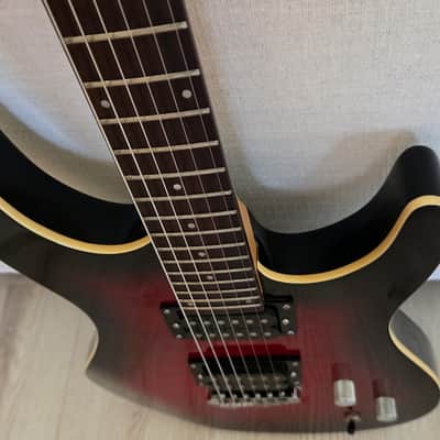 Washburn RX22, 2010, Flame Wine Sunburst, VG++ image 5