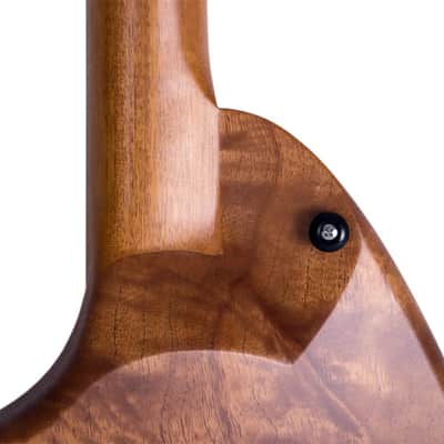 Forshage Orion Custom Solid Spanish Cedar w/Charlie Christian PU's by Pete Biltoft image 11