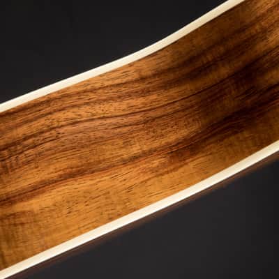 Taylor Gold Label 814e - Torrefied Spruce & Koa image 13