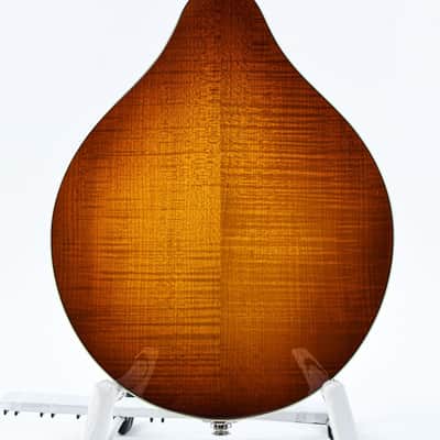 Eastman MD605 Goldburst image 8