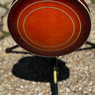 Washburn B-19 5 string banjo 1987 - Sunburst image 14
