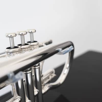Yamaha YCR-8335S Xeno Bb Cornet (SN C314xx) image 19