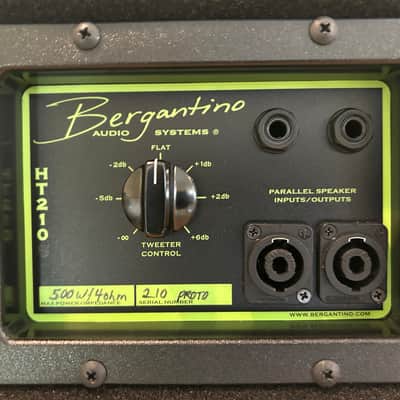Bergantino Prototype HT210 image 1