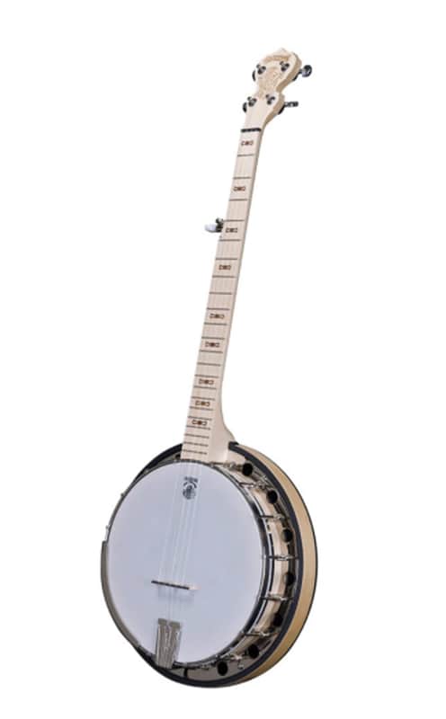 Deering Goodtime Special 5-String Banjo with Resonator image 1