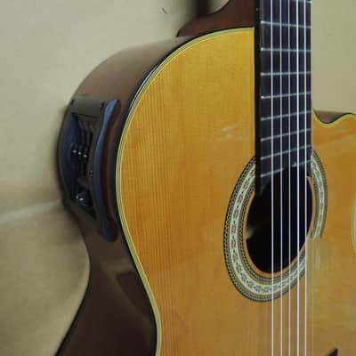 andalusia AG-6 G Guitare classique electro acoustique pan coupé Style Espagnole image 5