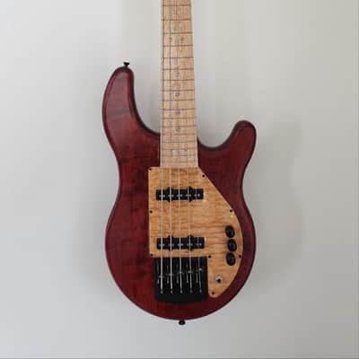 Tensor custom bass Classic series 5-string dual-pickup image 1