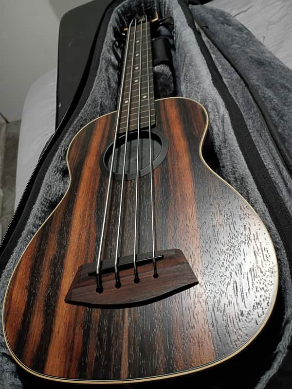 Kala UBASS-EBY-FL U-Bass Striped Ebony Fretless Ukulele Bass 2010s - Natural