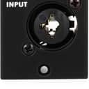 API 512V 500 Series Discrete Microphone Preamp