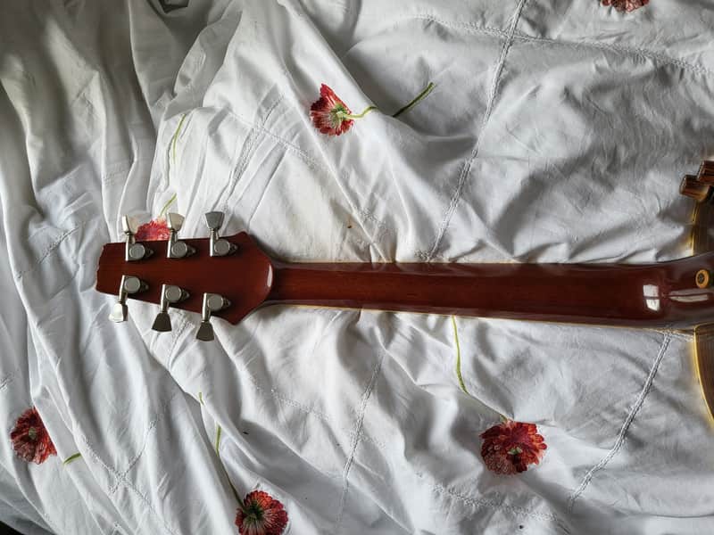 Aria FE60 Elecord 1980s Natural MIJ | Reverb