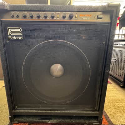 Roland BN-100 Bass Note 100-Watt 1x15